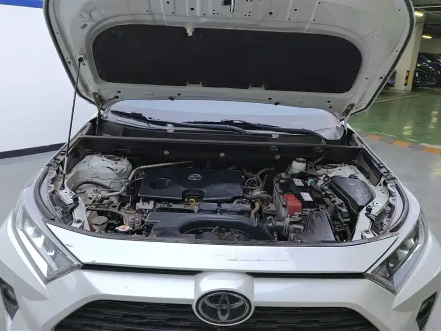 Toyota RAV4 Rongfang 2021 2.0L CVT 2WD Trend фото 10