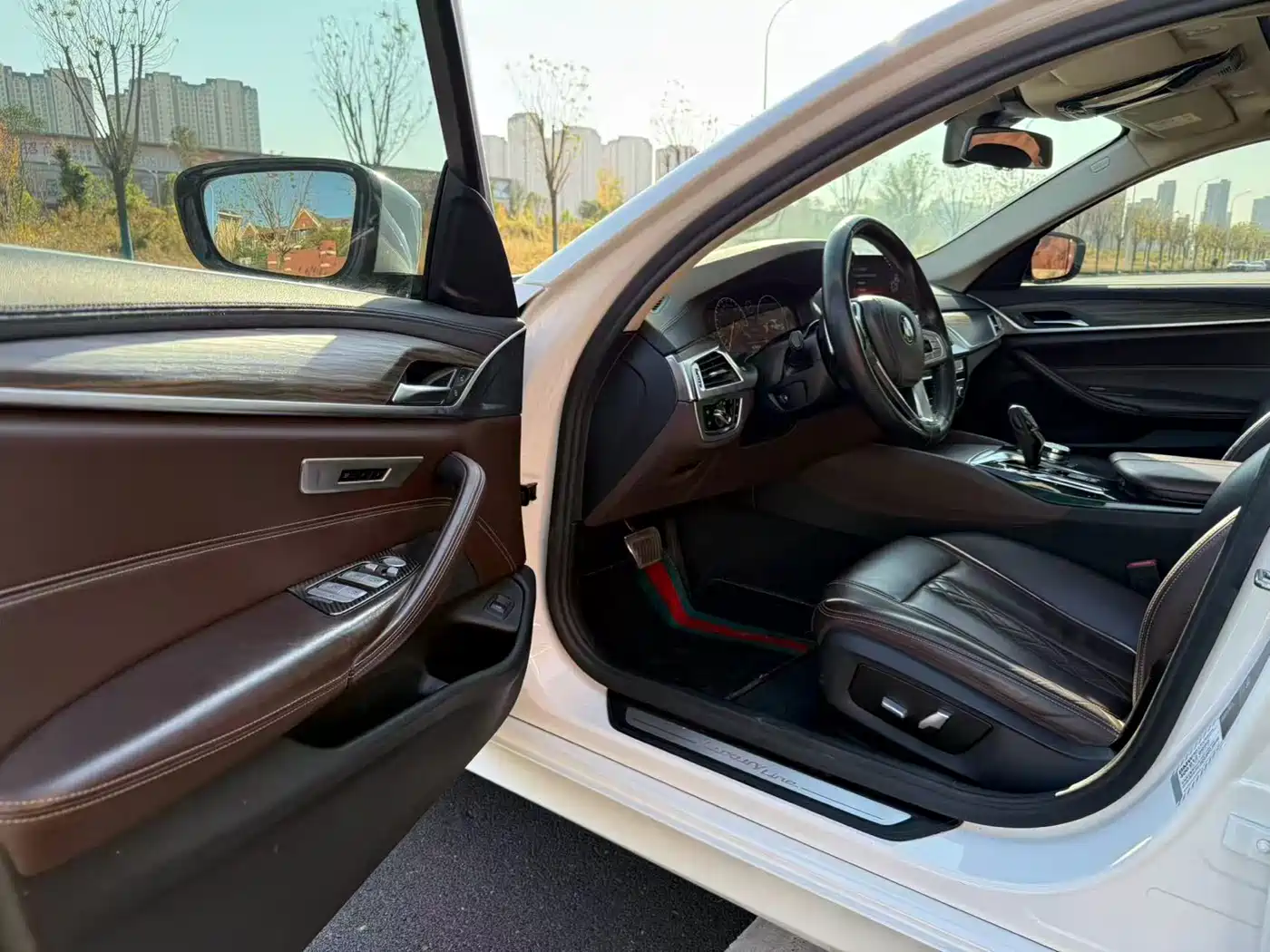 BMW 5 Series 2019 530Li Leading Luxury Package фото 11