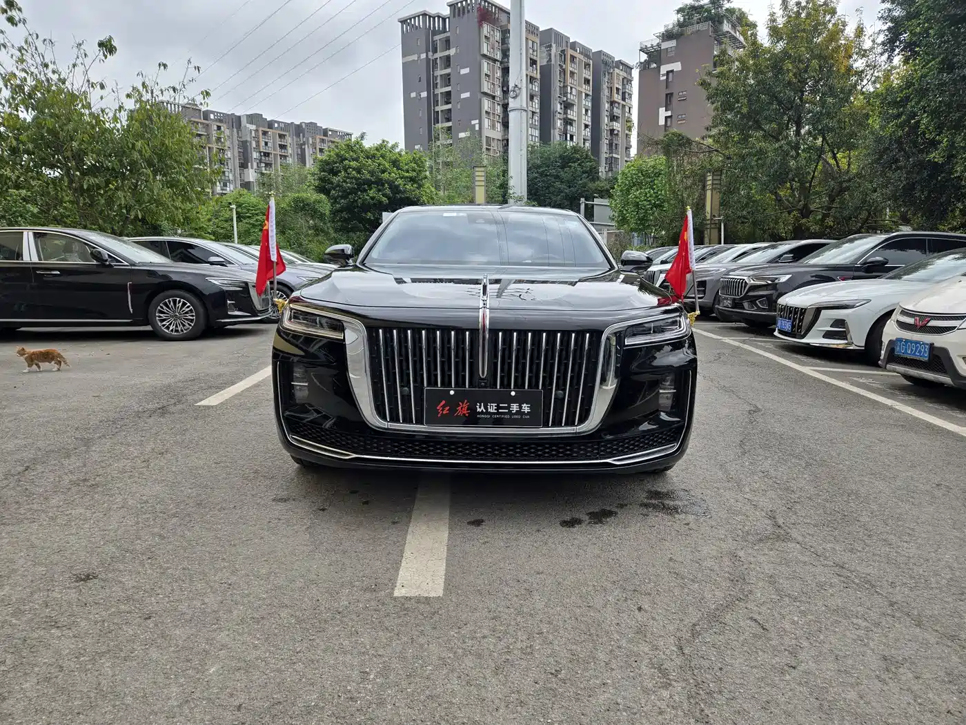 Hongqi H9 2020 2.0T Smart Connection Qi Xiang Edition фото 2