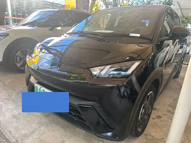 BYD Seagull Слава, 305km, Свобода
