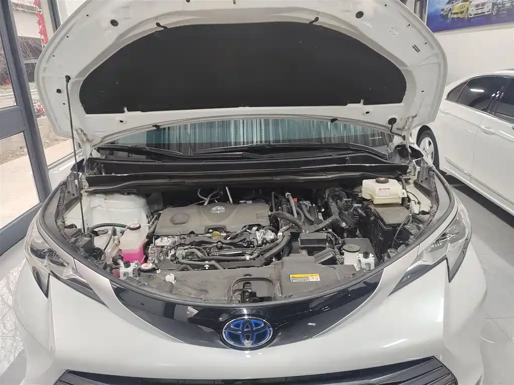Toyota Sienna 2023 2.5L Hybrid Luxury Edition фото 19