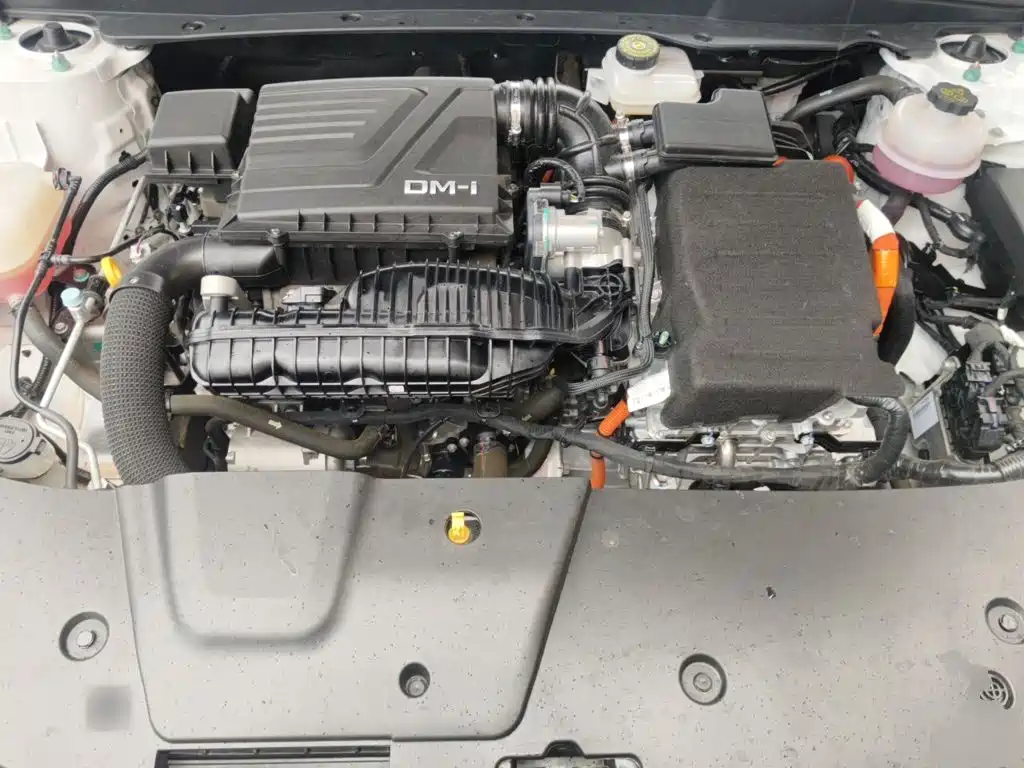 BYD Destroyer 05 2024 2024 Glory Edition DM-i 55KM Luxury
