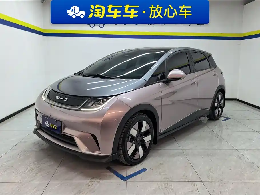 BYD Dolphin 2021 401km Knight Edition