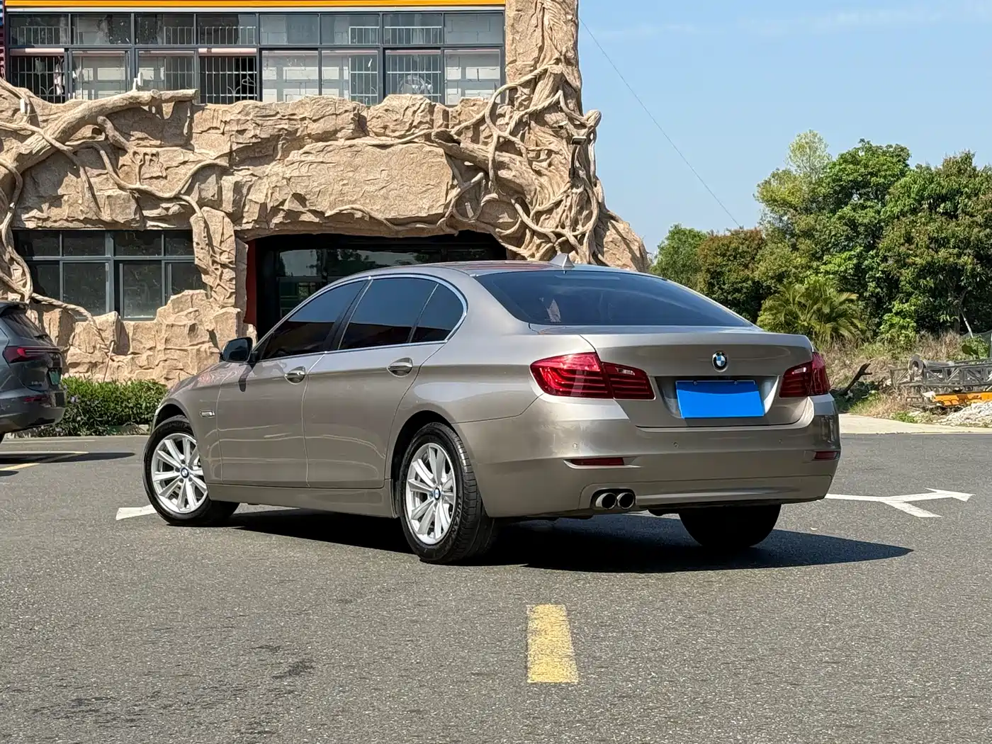 BMW 5 Series 2014 520Li Elegance фото 3