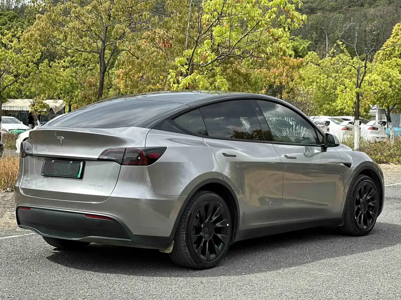 TESLA MODEL Y