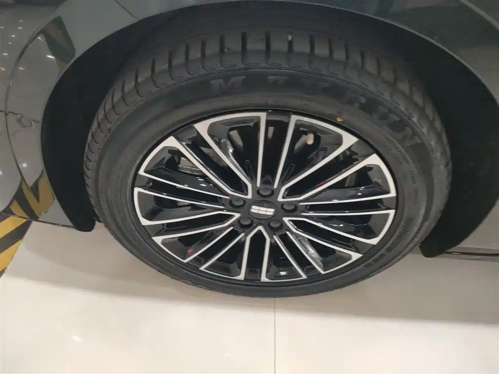 Geely Galaxy Galaxy Xingyao 8 2025 130km EM-i Premium Edition фото 25