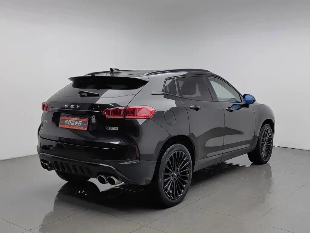 2018 WEY P8