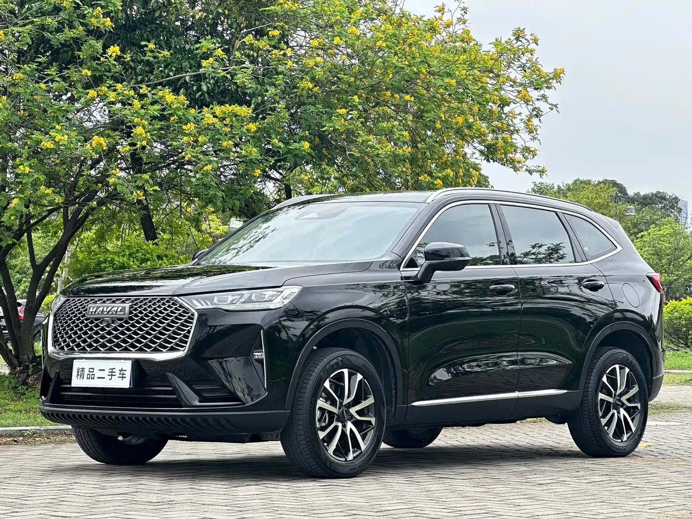 Haval H6 2022 3rd Gen 1.5T Auto 2WD Max