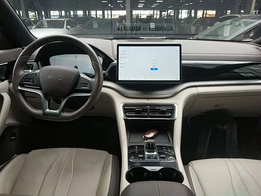 BYD Song PLUS PHEV 2025 DM-i 112KM Premium фото 6