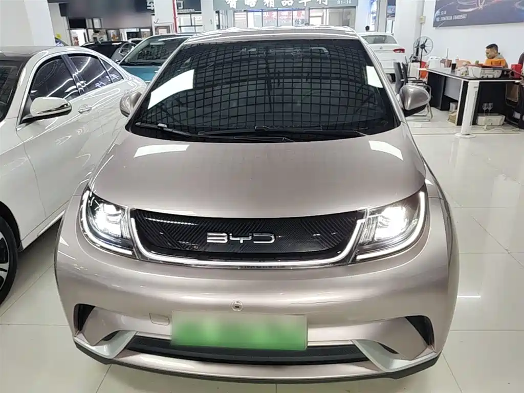BYD Dolphin 2023 420km Freedom Edition фото 3