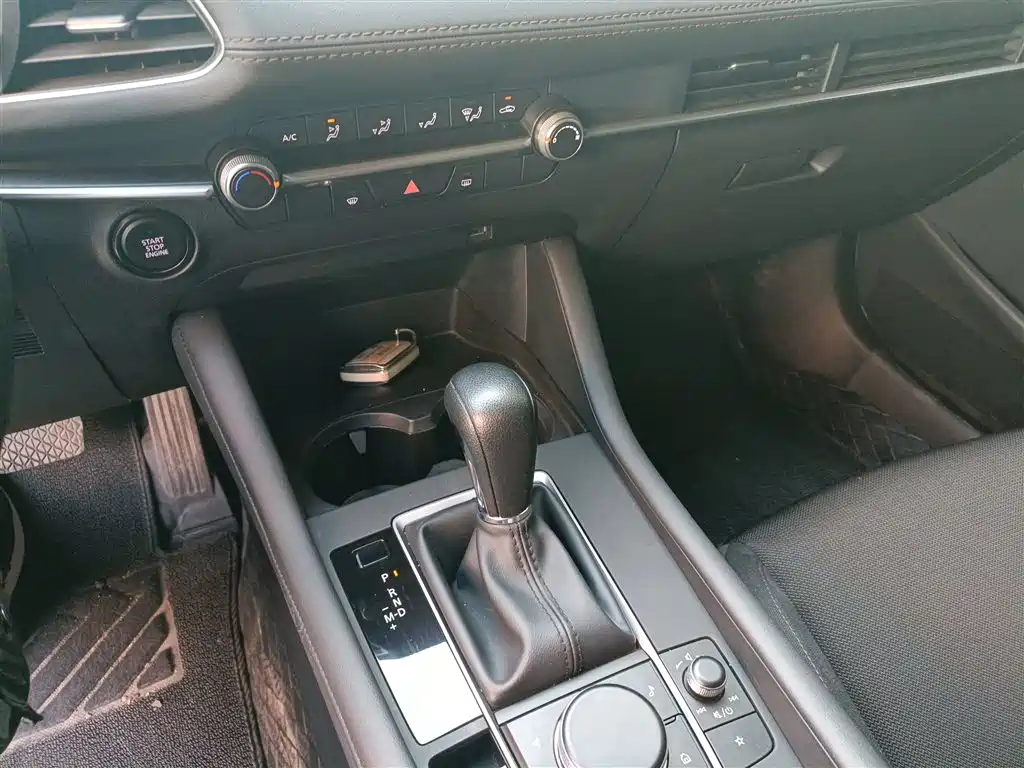 Mazda Mazda3 Axela 2024 2023 2.0L Auto Zhiqing