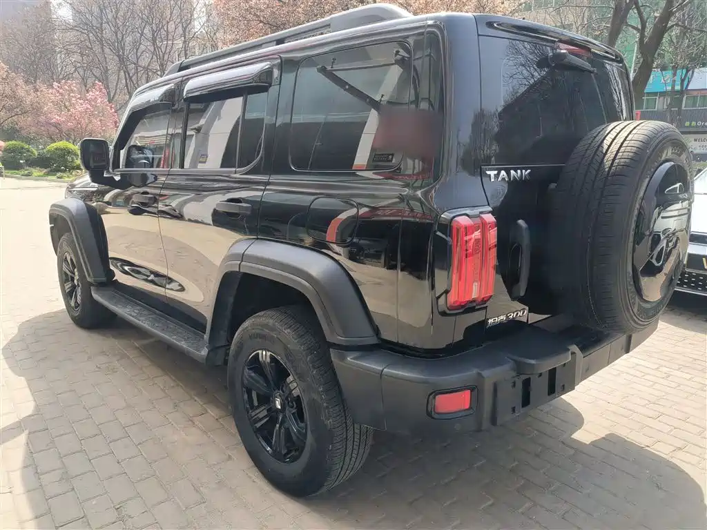 Tank 300 2023 Off-Road Edition 2.0T Challenger фото 23