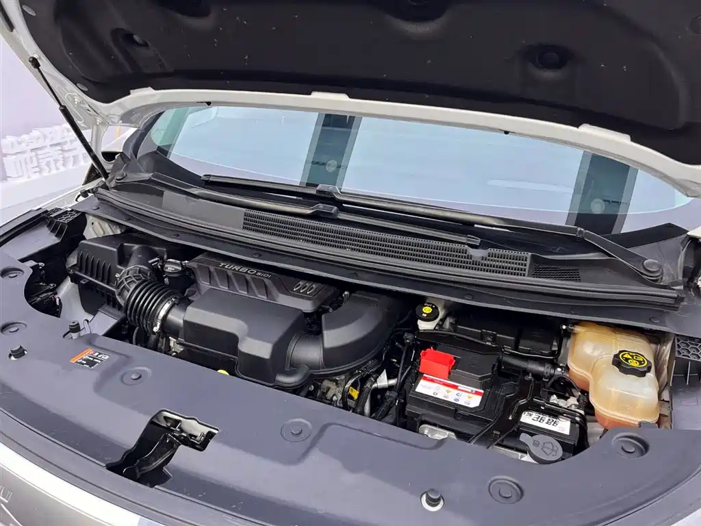 Buick Century 2023 2.0T 6-Seat World Edition фото 31