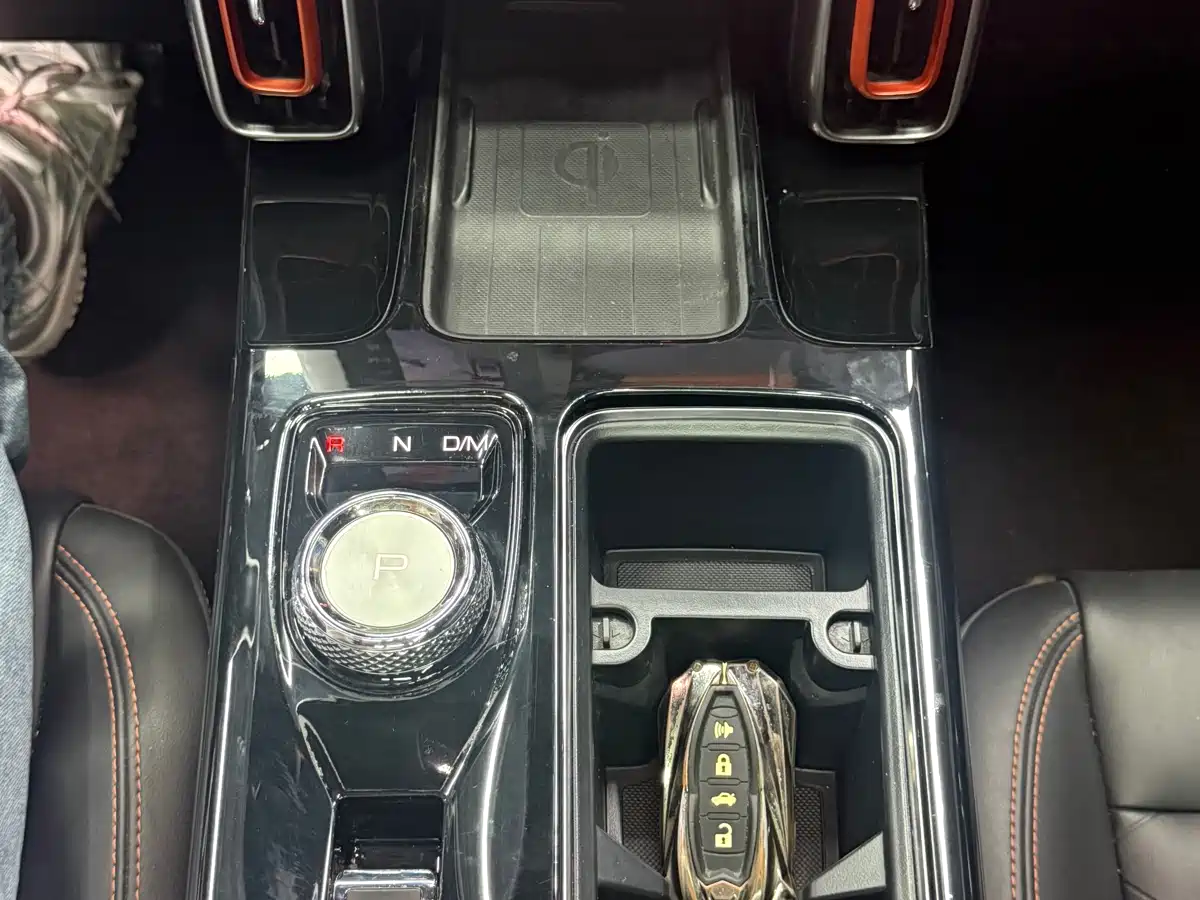 Haval Big Dog 2021 2.0T DCT 4WD Chinese Rural Dog Edition фото 23