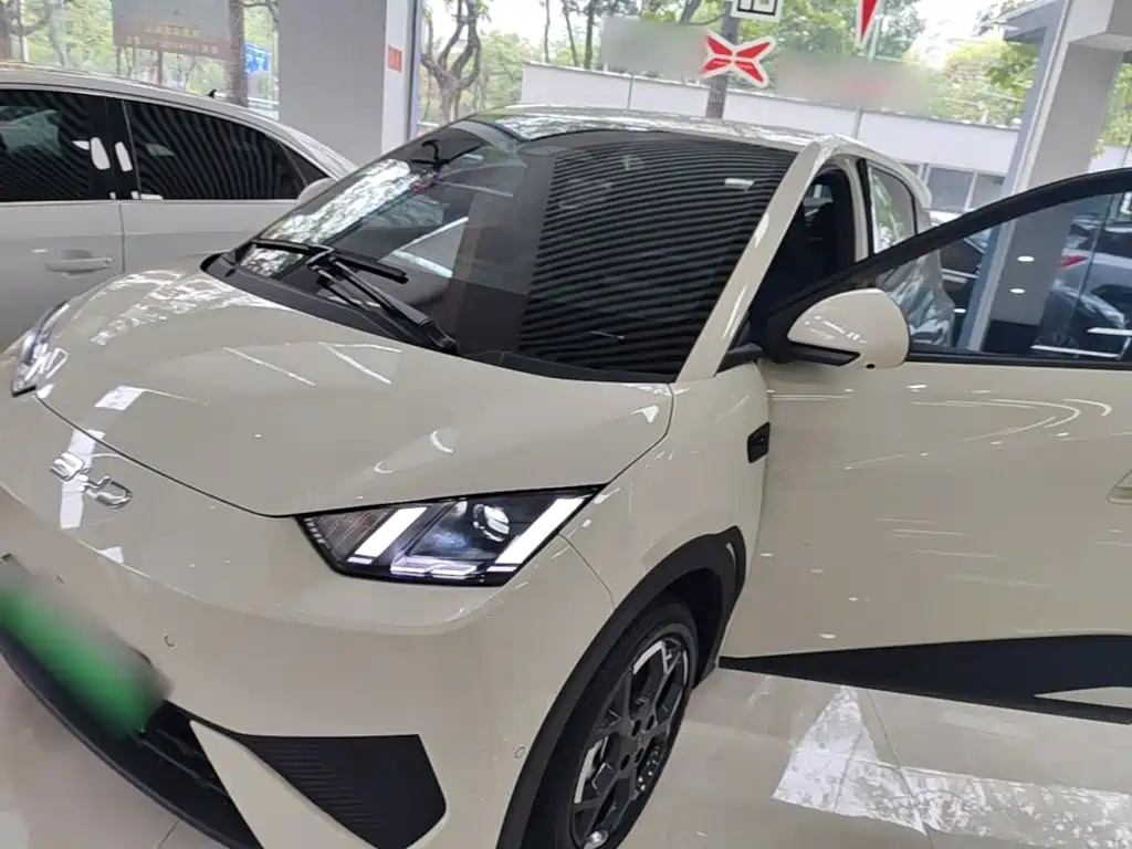 BYD Seagull 2025 Smart Drive Edition 305km Freedom Version