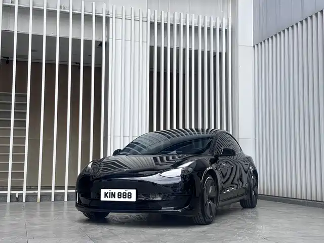 Tesla Model 3 2022 Model Rear-Wheel Drive Version