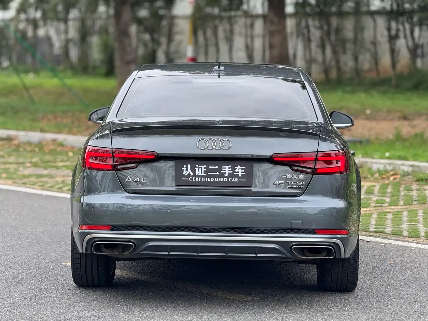 Audi A4L 2019 45 TFSI quattro Personality Sport (China VI) фото 5