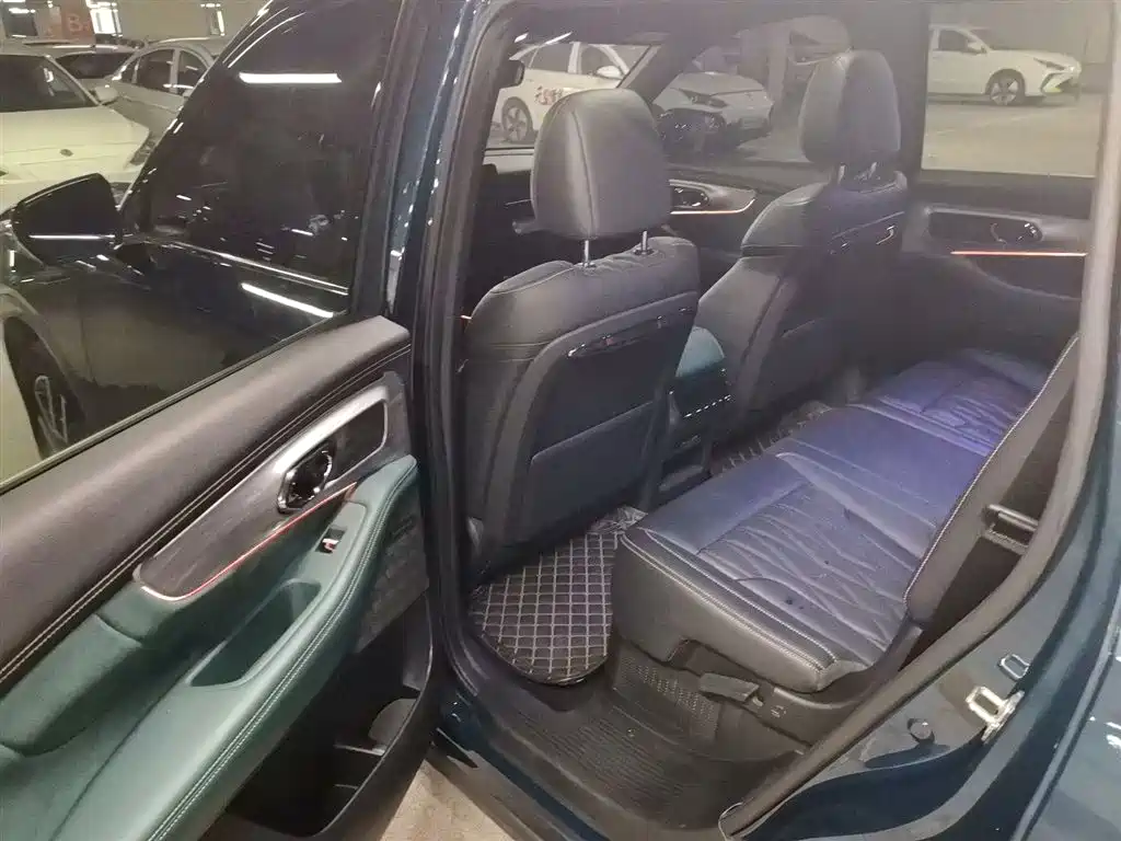 GAC Trumpchi Trumpchi GS8 2022 Dual Engine Series 2.0TM 2WD Premium Edition (7-Seater) фото 9