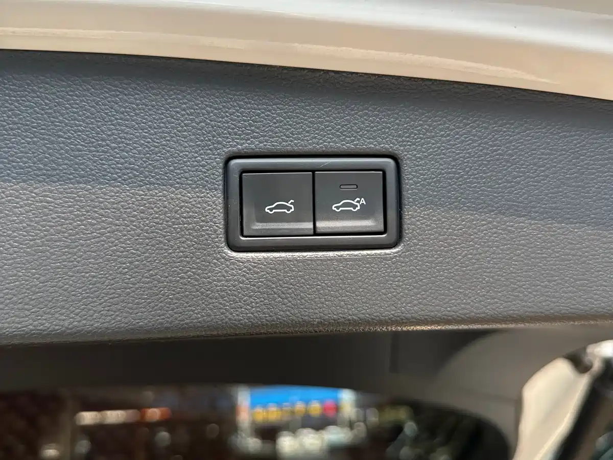 Volkswagen Tiguan L 2019 330TSI Automatic 2WD Smart Luxury Edition China VI фото 25