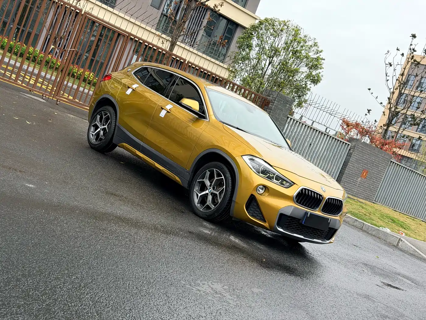 BMW X2 (Import) 2019 sDrive20i M Off-Road Package China VI фото 3