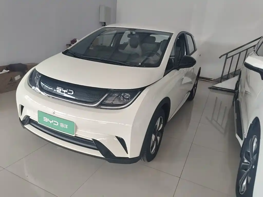 2026 BYD Dolphin