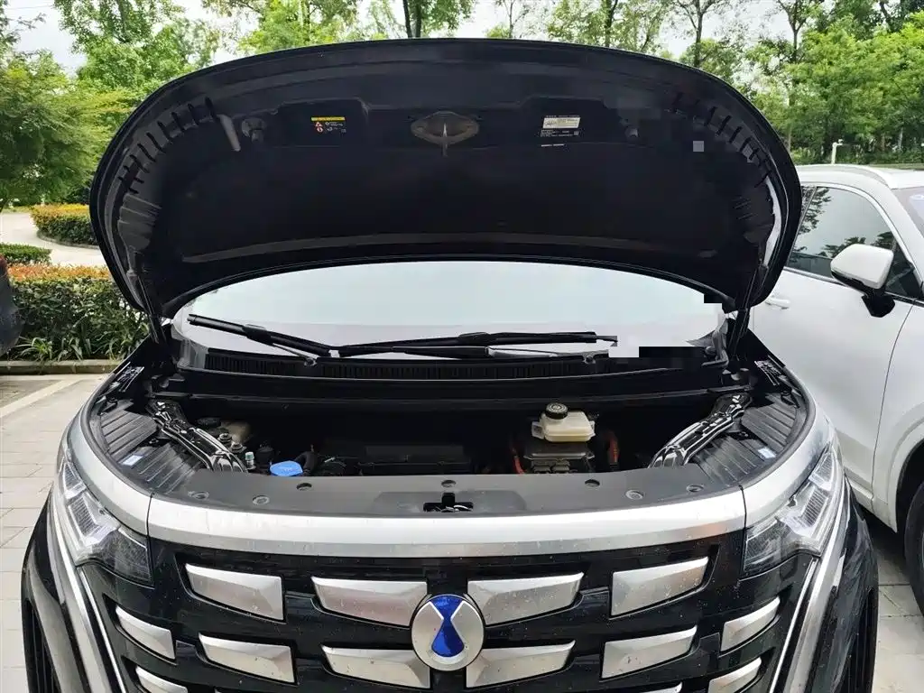 Denza D9 2024 DM-i 980 AWD Prestige фото 11