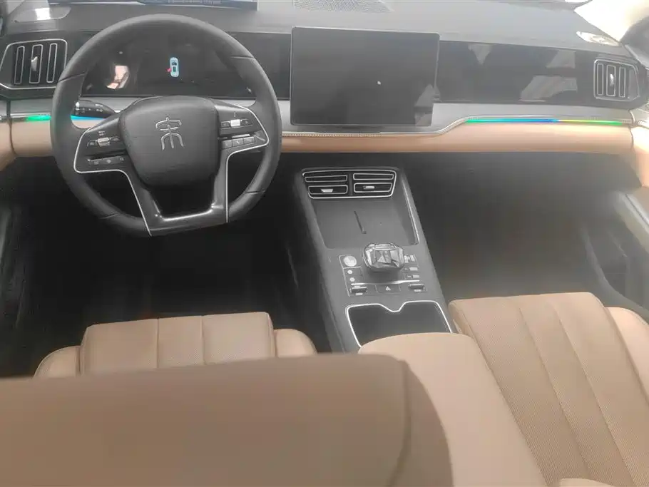 BYD Song Pro New Energy 2025 2nd Gen DM-i 75KM Surpass фото 12