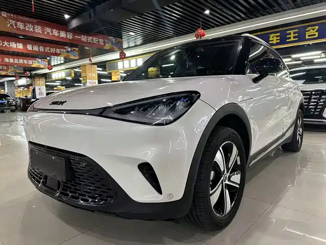  smart smart Elf #1 2024 Agile Standard Edition