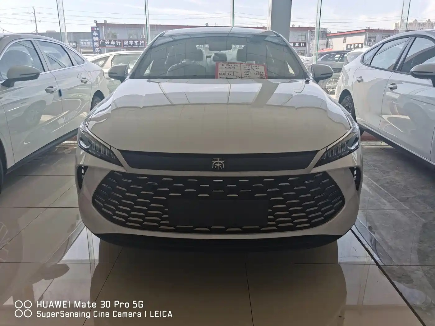 BYD Qin PLUS 2026 DM-i 128KM Progressive фото 2
