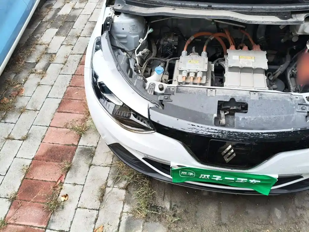 JMCG New Energy Little Kirin 2024 2023 Model Lucky Edition 201km Comfort
