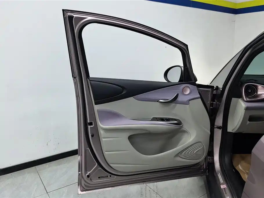 BYD Dolphin 2021 401km Knight Edition фото 7
