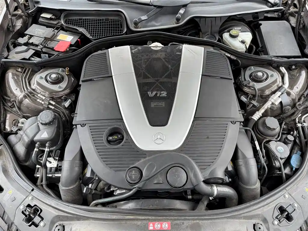 Mercedes-Benz S-Class 2010 S 600 L фото 38
