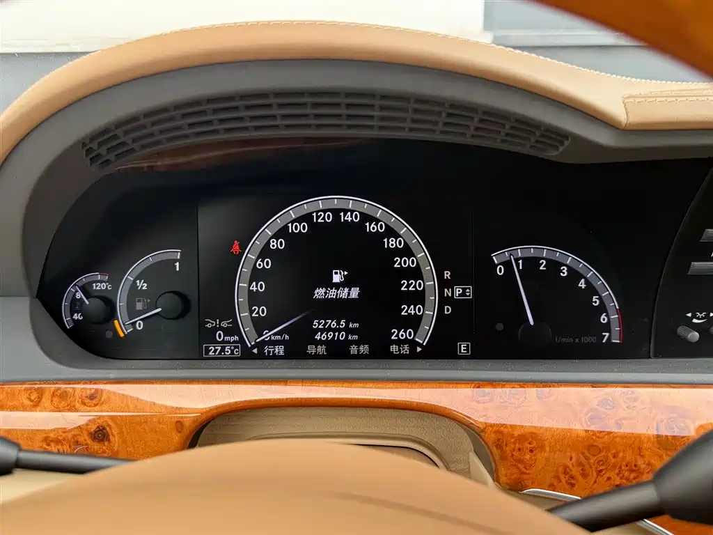 Mercedes-Benz S-Class 2010 S 600 L фото 6
