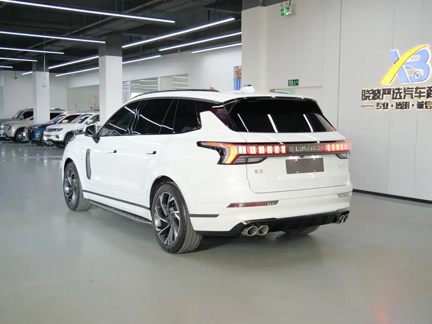 Lynk & Co 09 EM-P 2021 2.0T PHEV Halo 6-seater фото 5