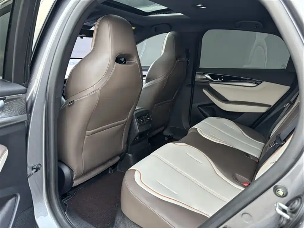 BYD Qin PLUS 2023 Champion Edition DM-i 120KM Excellence фото 14