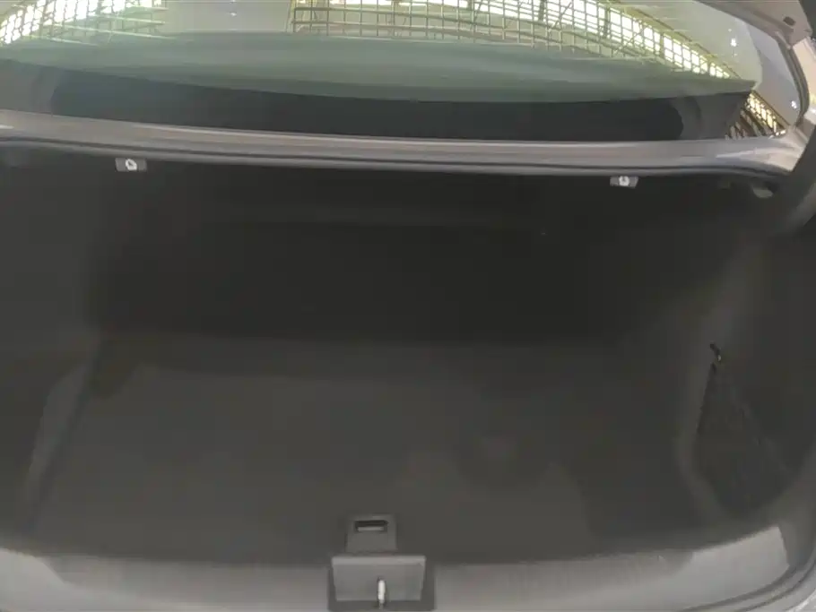 Buick Regal 2017 20T Elite Type фото 4