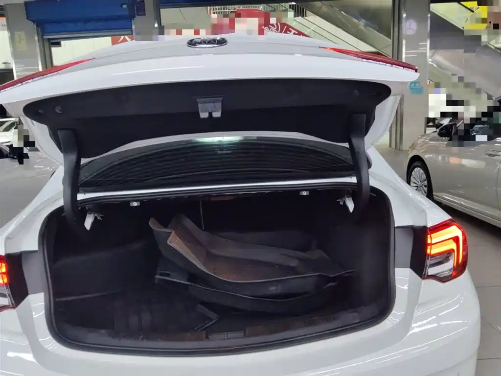 Buick Regal 2020 552T Elite фото 19