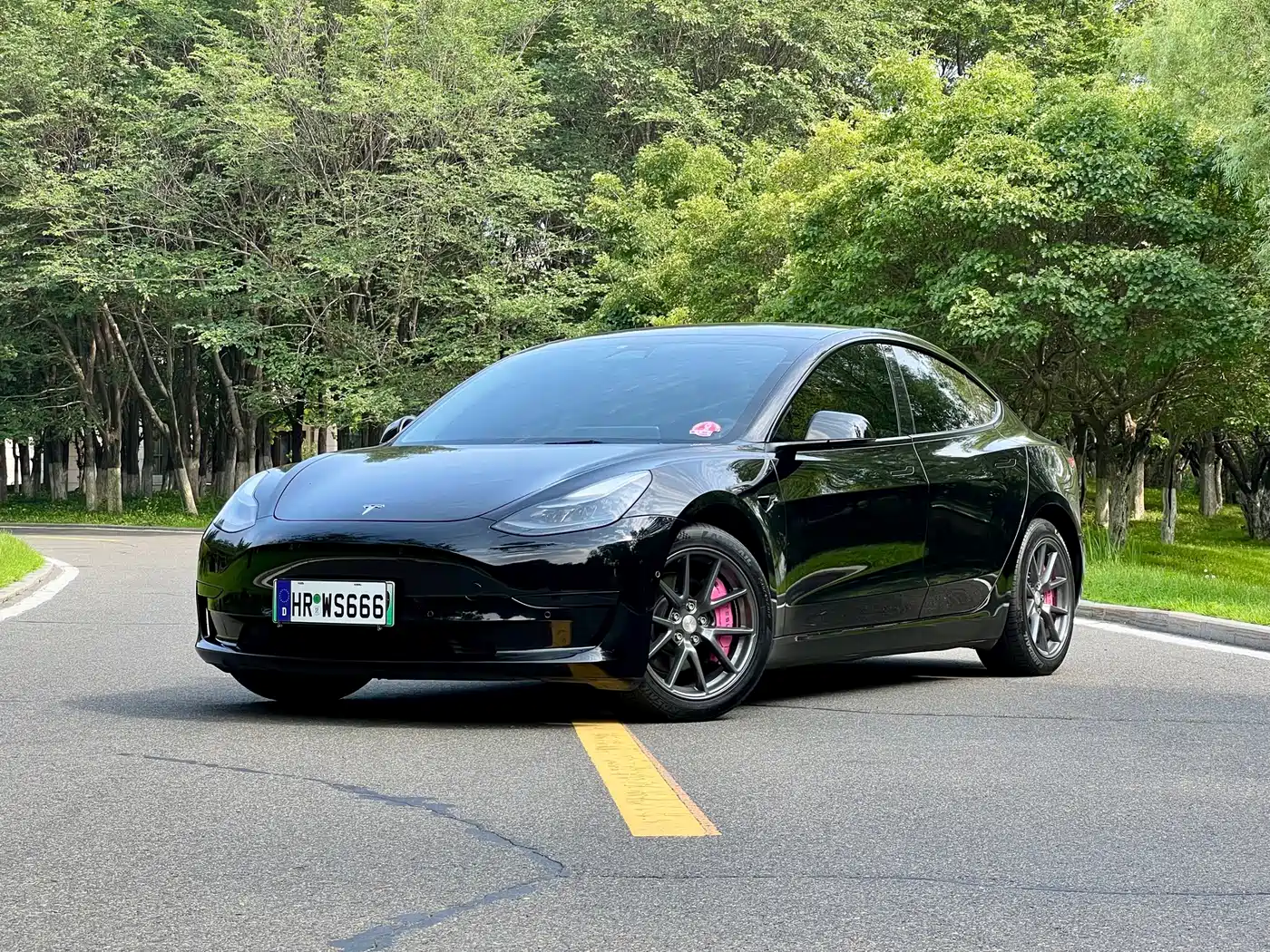 Tesla Model 3 2021 Facelift Standard Range RWD Upgrade 3D1