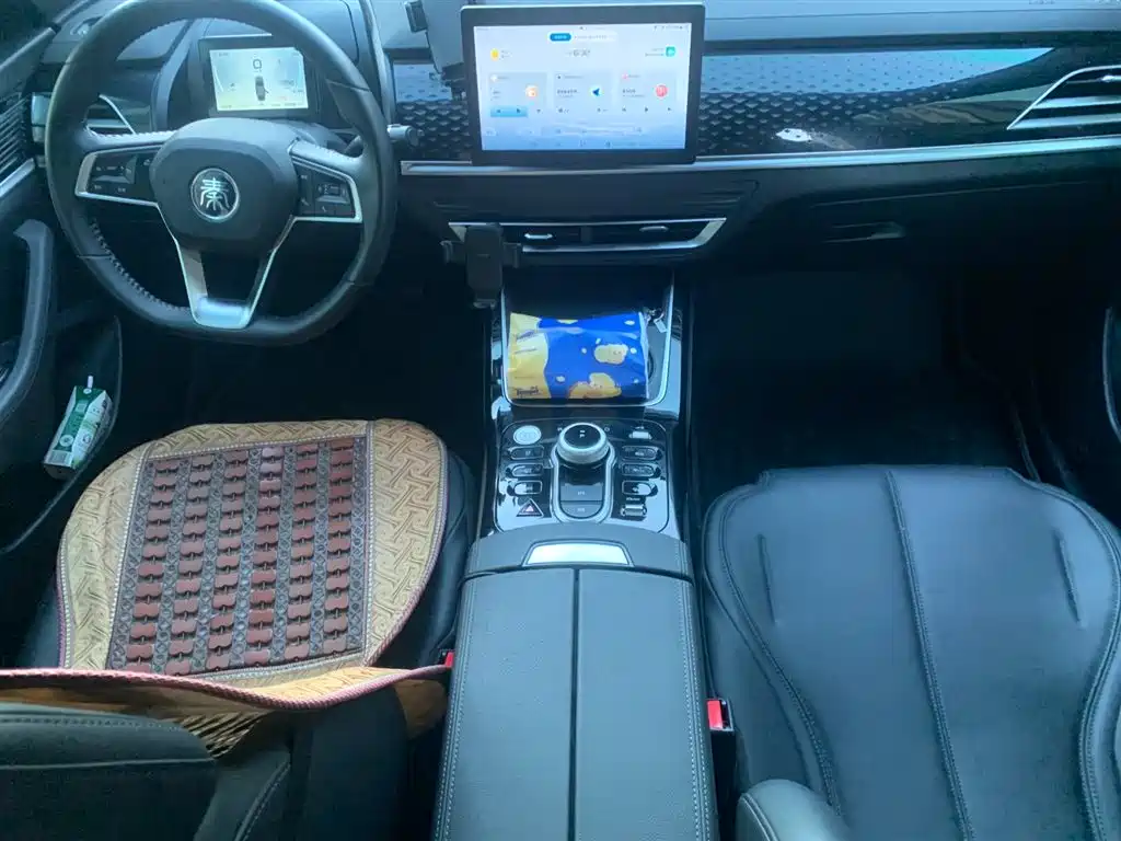 BYD Qin PLUS 2023 EV 510KM Travel Edition фото 6