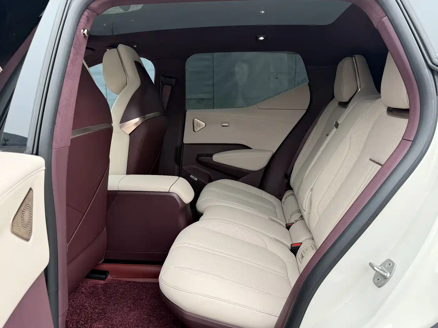 ZEEKR EXTREME KRYPTON X