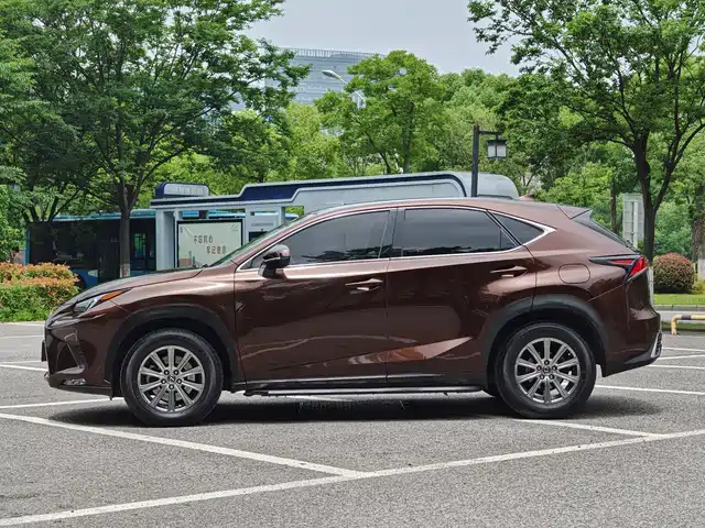 Lexus NX 2018 Model 200 FWD Fengxing Edition China V — фото 3