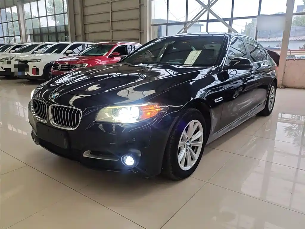 BMW 5 Series 2014 520Li Elegance фото 2