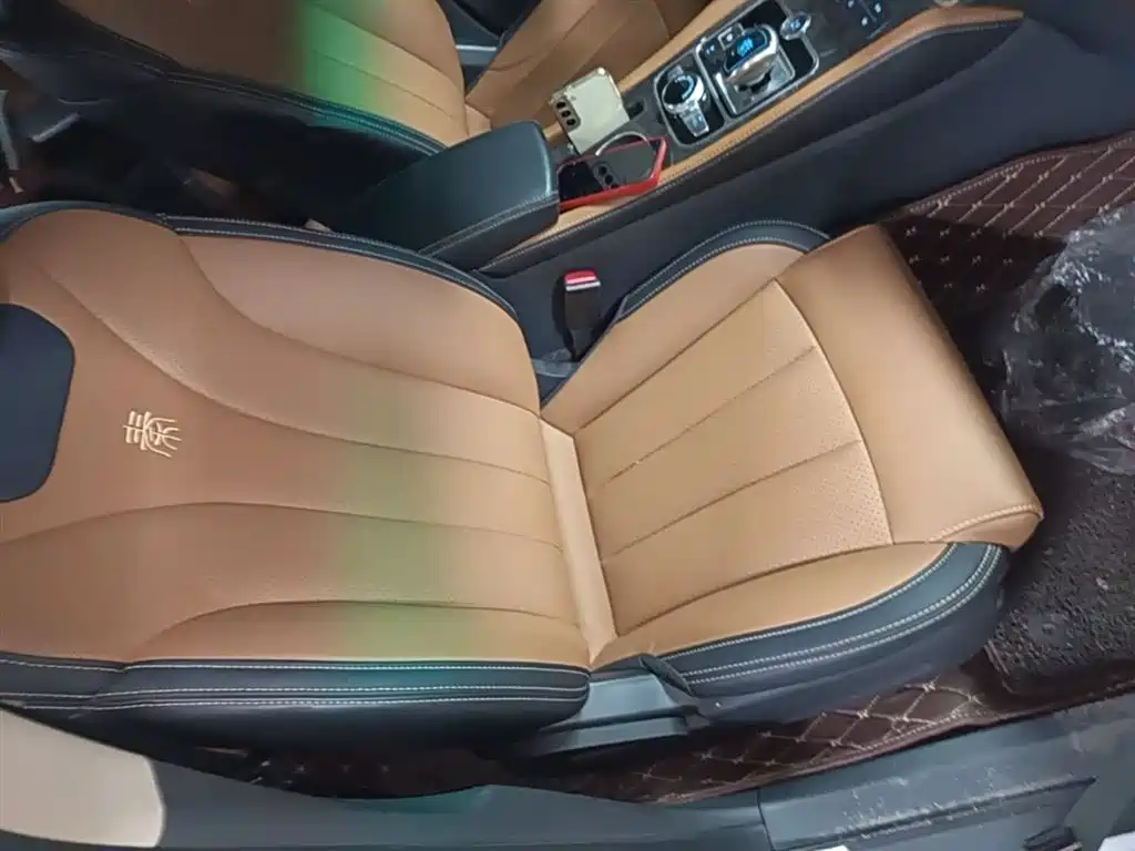 BYD Qin New Energy 2018 1.5T Smart Premium фото 25