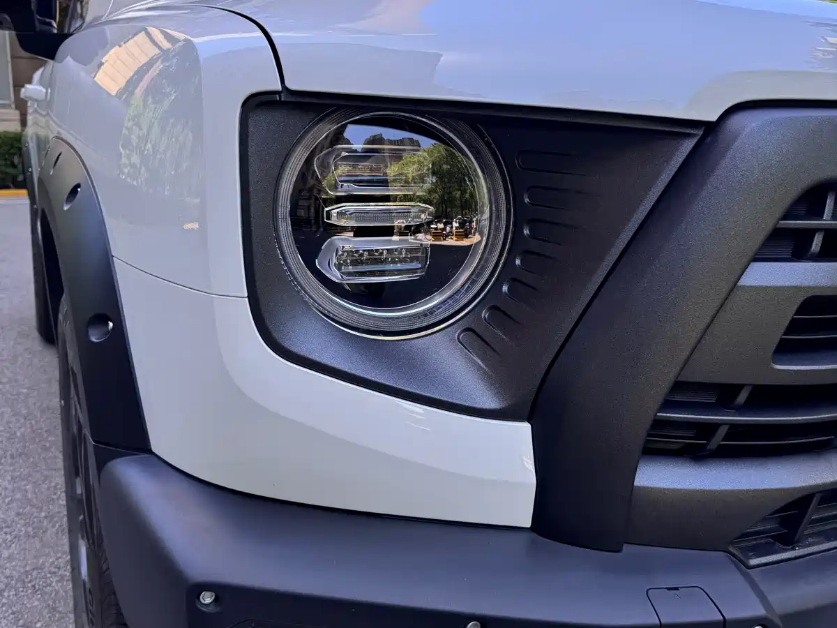 Haval Big Dog 2024 2.0T DCT Chinese Rural Dog Edition фото 9