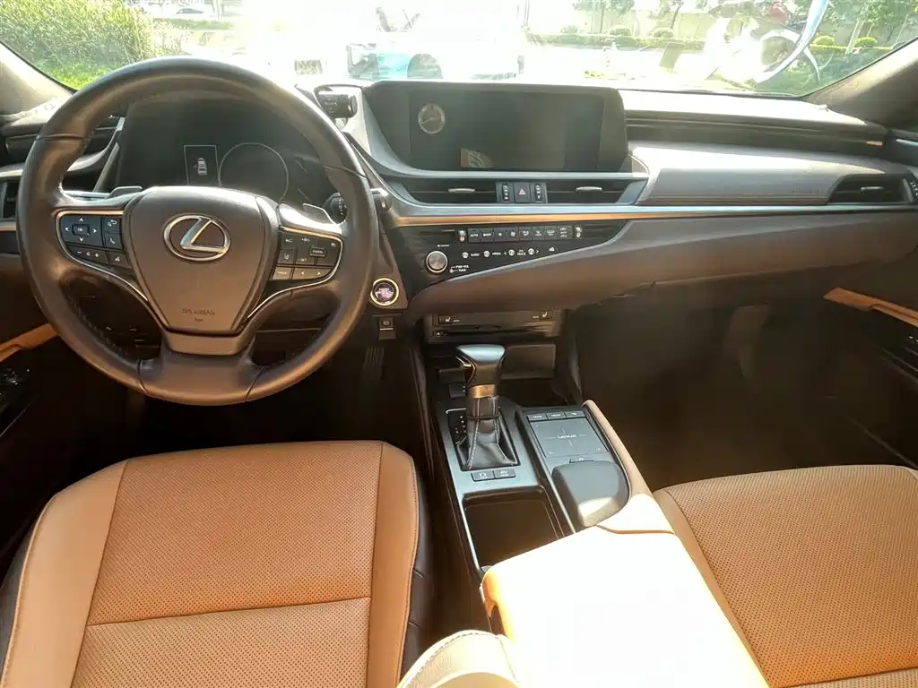 Lexus ES 2020 Model 300h Excellence Edition фото 14