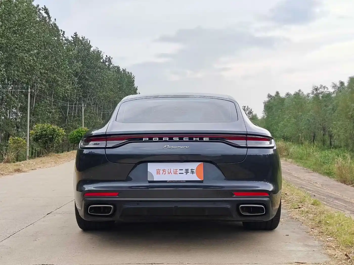 Porsche Panamera 2022 Panamera 2.9T Platinum Edition фото 4