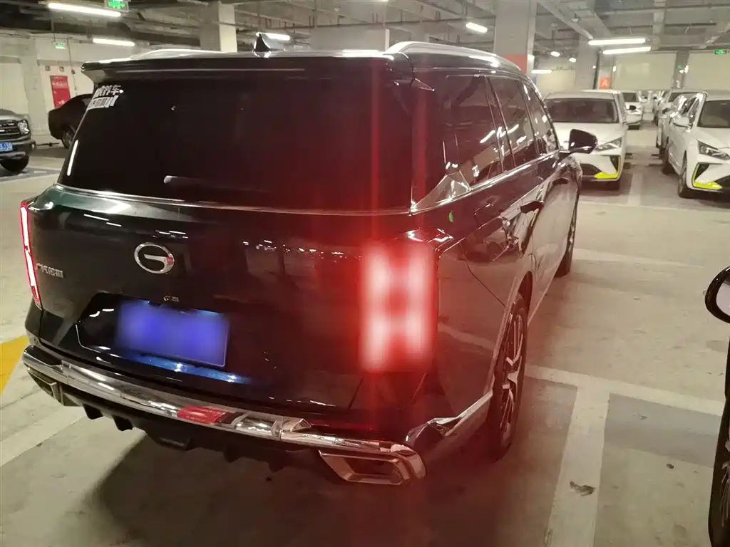 GAC Trumpchi Trumpchi GS8 2022 Dual Engine Series 2.0TM 2WD Premium Edition (7-Seater) фото 6