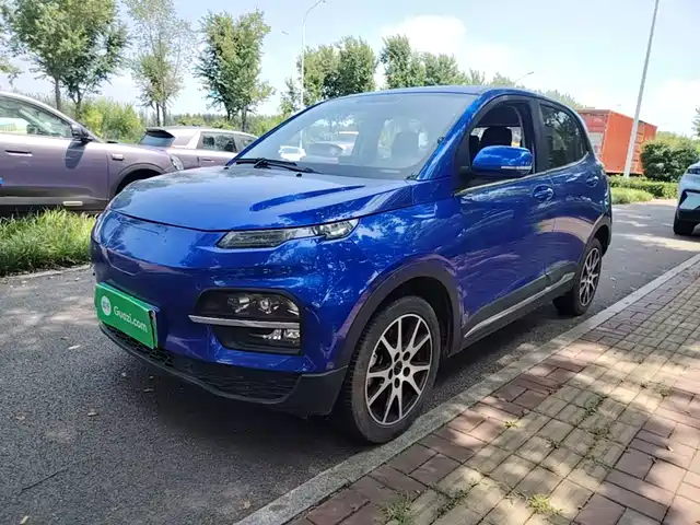  Dayun Yuehu 2021 32.85kWh 2WD Elf Edition