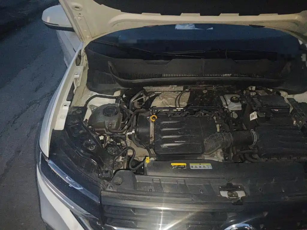 Volkswagen Tanying, миниатюра 21