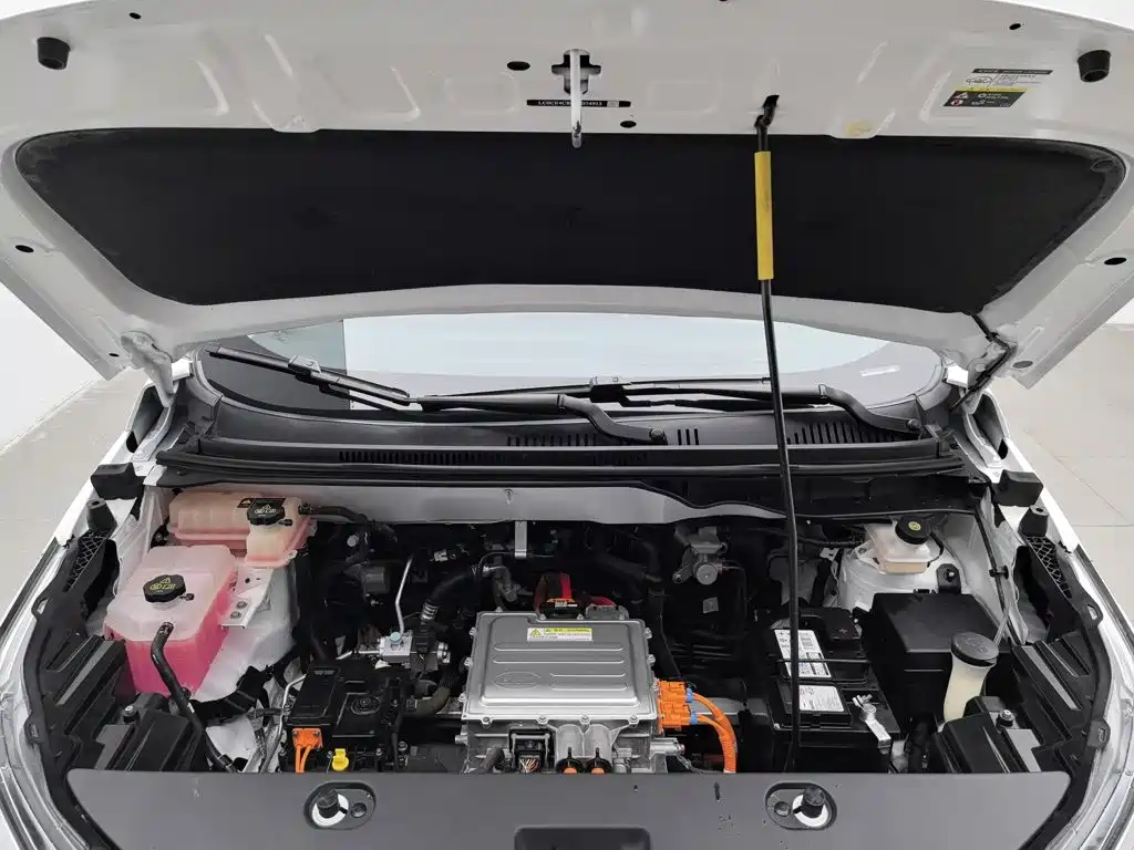 BYD Yuan Pro 2022 2021 401KM Premium Model
